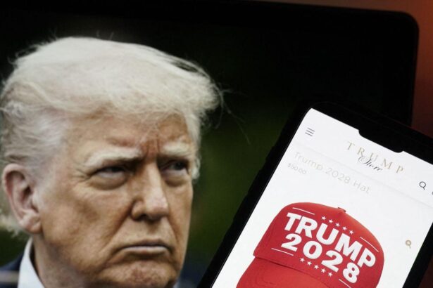 ‘Trump 2028’ hats and T-shirts for sale on US president’s online store – The Guardian