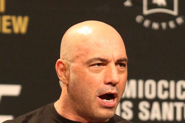 Joe Rogan, Dave Portnoy among Trump backers now questioning his tariff policies – PBS