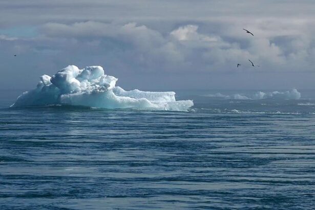 How Does Climate Change Affect Our Brains? Trump’s NIH Just Cut Funding to Study It.