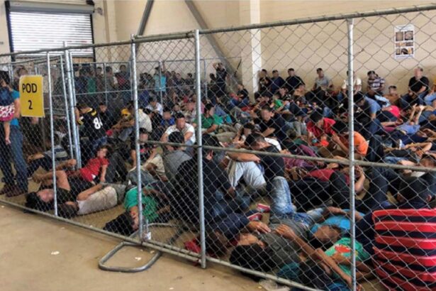 Trump’s DOJ Cuts Essential Legal Support for Vulnerable Detained Immigrants