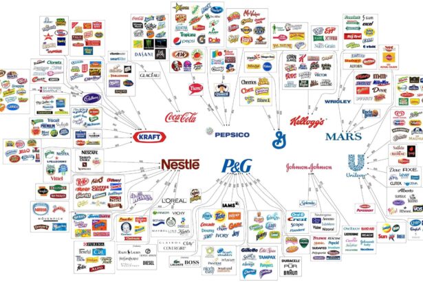 Empowering Unity: How Major Brands Can Bridge Divides Without Bowing to Trump
