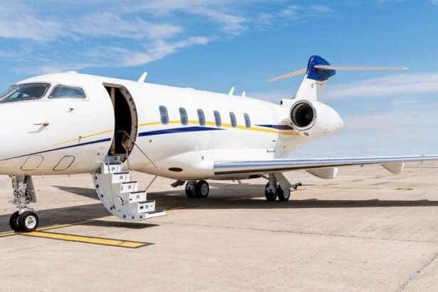 Why Gulf States Fuel America’s Economic Power: The Untold Story Behind Presidential Privilege