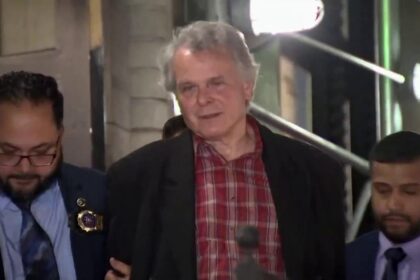 Ex-Obama Adviser Delivers Stinging Critique of Joni Ernst’s Town Hall Misstep