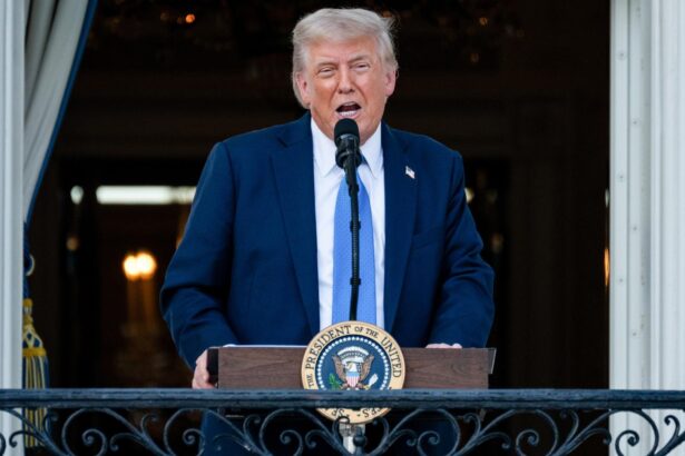 Trump Deploys Troops to Los Angeles Amidst Immigration Crackdown Protests: Key Insights