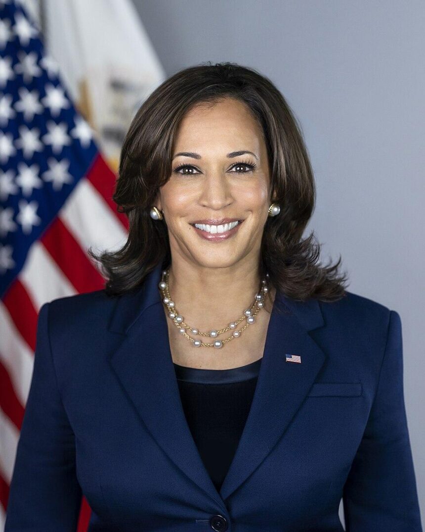 Kamala Harris Slams Trump for His ‘Cruel and Calculated’ Attack on Los Angeles