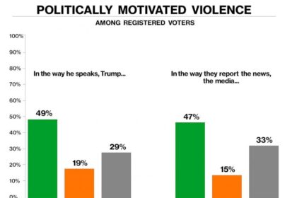 Overwhelming Majority Believe Politically Motivated Violence is a Major Concern