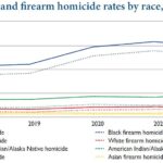 Record Low Murder Rates on the Horizon, Yet Police-Involved Killings Are Increasing