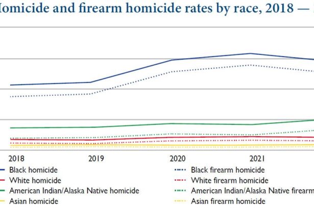 Record Low Murder Rates on the Horizon, Yet Police-Involved Killings Are Increasing
