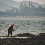 Labor Department Reposts Grants for Women Workers DOGE Previously Canceled