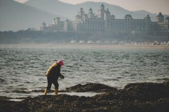 Labor Department Reposts Grants for Women Workers DOGE Previously Canceled