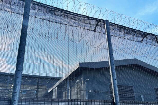 ‘Less than human’: Report details Trump immigration detention centre abuses – Al Jazeera