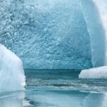 New Global Leaders Emerge in the Climate Fight as the US Steps Back