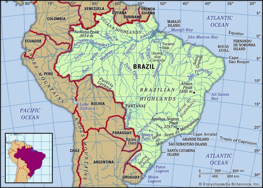 Brazil’s MAGA Ally Caught in a Web of Massive Fraud Linked to Imprisoned Chinese Billionaire!