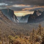 Yosemite and Sequoia Workers Unite: A Movement for Change
