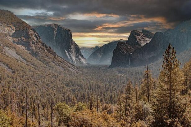 Yosemite and Sequoia Workers Unite: A Movement for Change