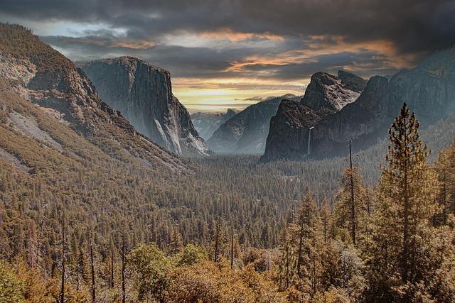Yosemite and Sequoia Workers Unite: A Movement for Change