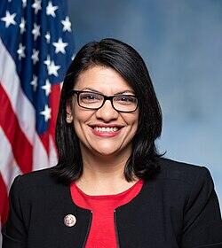 Tlaib, Donalds get in shouting match during DC oversight hearing