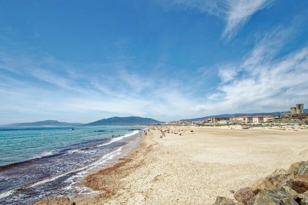 Trump’s Tariff Era: A Golden Age for Prices or a Burden on Consumers?