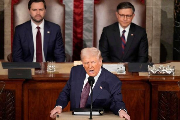 Judge Orders Trump Administration to Halt Government Shutdown Layoffs