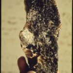 Is Black Lung Still a Death Sentence for America’s Coal Miners? Examining Trump’s Response
