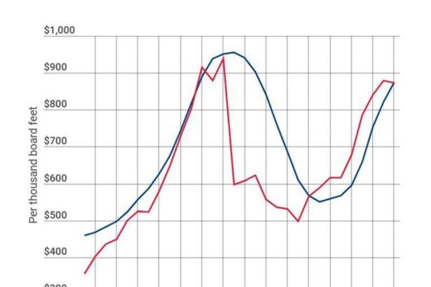 Will Higher Tariffs on Canadian Lumber Really Boost Long-Term US Forestry Investments?