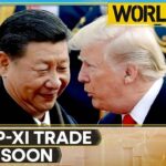 Investors Look to History for Insights as Trump-Xi Trade Talks Approach Investors Look to History for Insights as Trump-Xi Trade Talks Approach