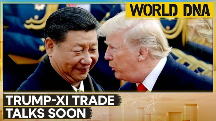 Investors Look to History for Insights as Trump-Xi Trade Talks Approach Investors Look to History for Insights as Trump-Xi Trade Talks Approach