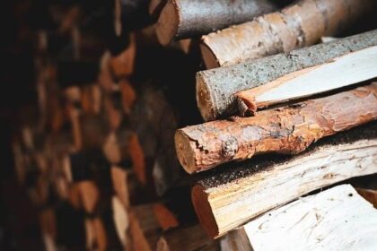 Winter’s Chill: How Families Are Facing Tough Choices on Heating Amid Ongoing Shutdown