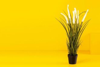 Canada’s PM Mark Carney Issues Apology to Donald Trump Over Controversial TV Ad