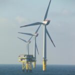 Trump’s Surprising Move: Cancels Research on Offshore Wind Farms and Their Impact on Bats!