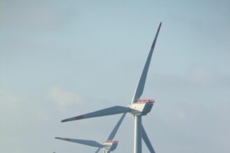 Trump’s Surprising Move: Cancels Research on Offshore Wind Farms and Their Impact on Bats!