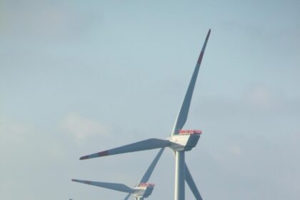 Trump’s Surprising Move: Cancels Research on Offshore Wind Farms and Their Impact on Bats!