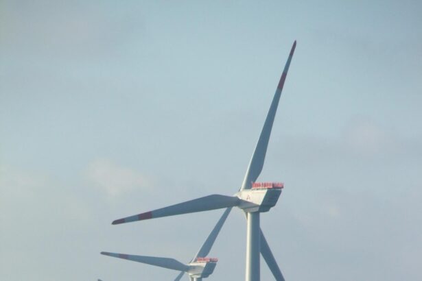 Trump’s Surprising Move: Cancels Research on Offshore Wind Farms and Their Impact on Bats!