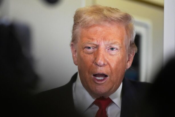 Trump: Democrats likelier to win midterms, White House if GOP doesn’t end filibuster