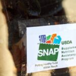 SNAP Funding Secured: States Assured of Full Support During Appeal Process