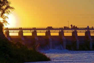 At the UN Climate Summit, Gavin Newsom Declares Trump an ‘Invasive Species