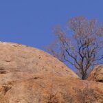 Epstein Survivors Unite: A Powerful Call to Action Before Crucial House Vote