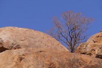 Epstein Survivors Unite: A Powerful Call to Action Before Crucial House Vote