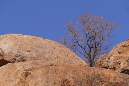 Epstein Survivors Unite: A Powerful Call to Action Before Crucial House Vote