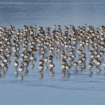 ‘Things happen’ – The Washington Post