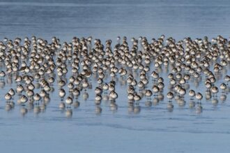 Embracing Life’s Surprises: The Unexpected Moments That Shape Us