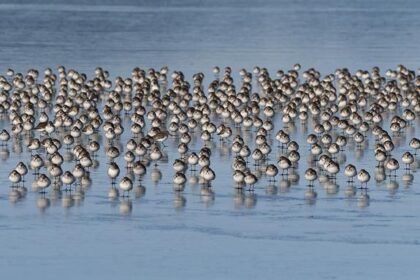 Embracing Life’s Surprises: The Unexpected Moments That Shape Us