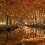 Beyond Policy: Lessons in Urban Progress from de Blasio to Mamdani