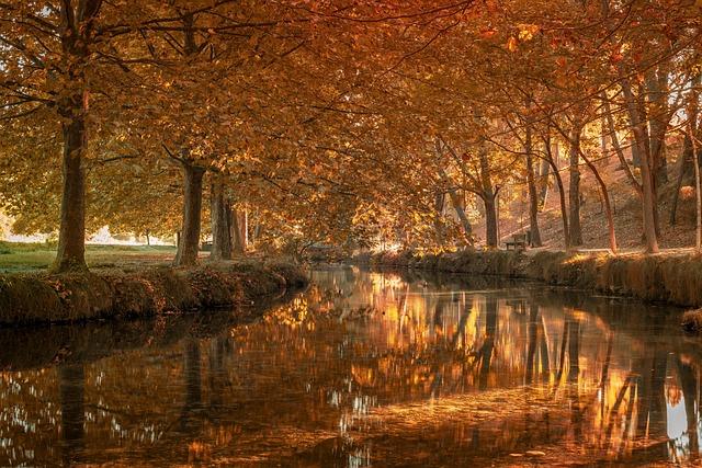 Beyond Policy: Lessons in Urban Progress from de Blasio to Mamdani Beyond Policy: Lessons in Urban Progress from de Blasio to Mamdani