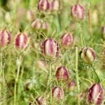 Gretchen Carlson Reveals How Trump’s ‘Piggy’ Attack Hits Her Deeply