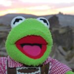 Frog Costumes Take Center Stage: Unleashing the Subversive Power of Play in Protests