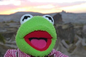 Frog Costumes Take Center Stage: Unleashing the Subversive Power of Play in Protests