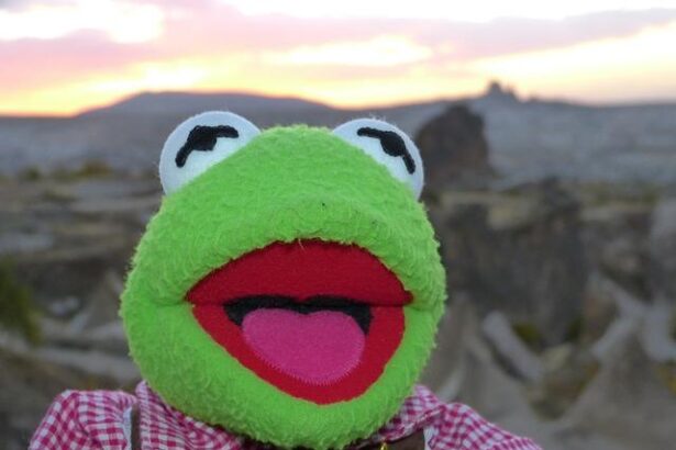 Frog Costumes Take Center Stage: Unleashing the Subversive Power of Play in Protests