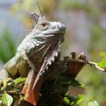 Liz Cheney’s Bold Remarks on Trump and MAGA at Her Father’s Funeral