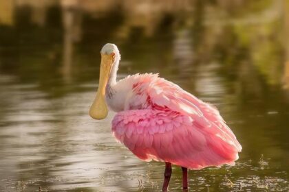 Bill O’Reilly Issues Urgent Warning to Republicans: ‘Time to Take Action for the Midterms!